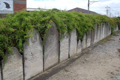 image006