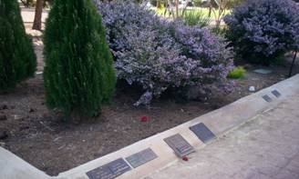 image002